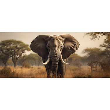3 Pieces Elephant Painting